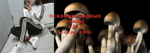 MESCALINE Аркадак