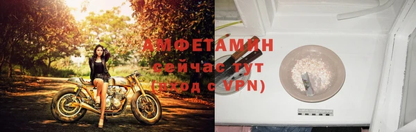 стаф Алзамай