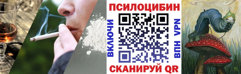 Галлюциногенные грибы ЛСД  Грязовец 